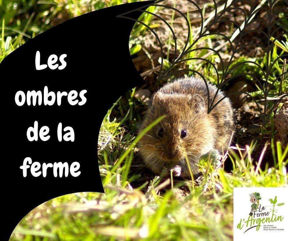 Ferme d'Argentin - Les ombres de la ferme