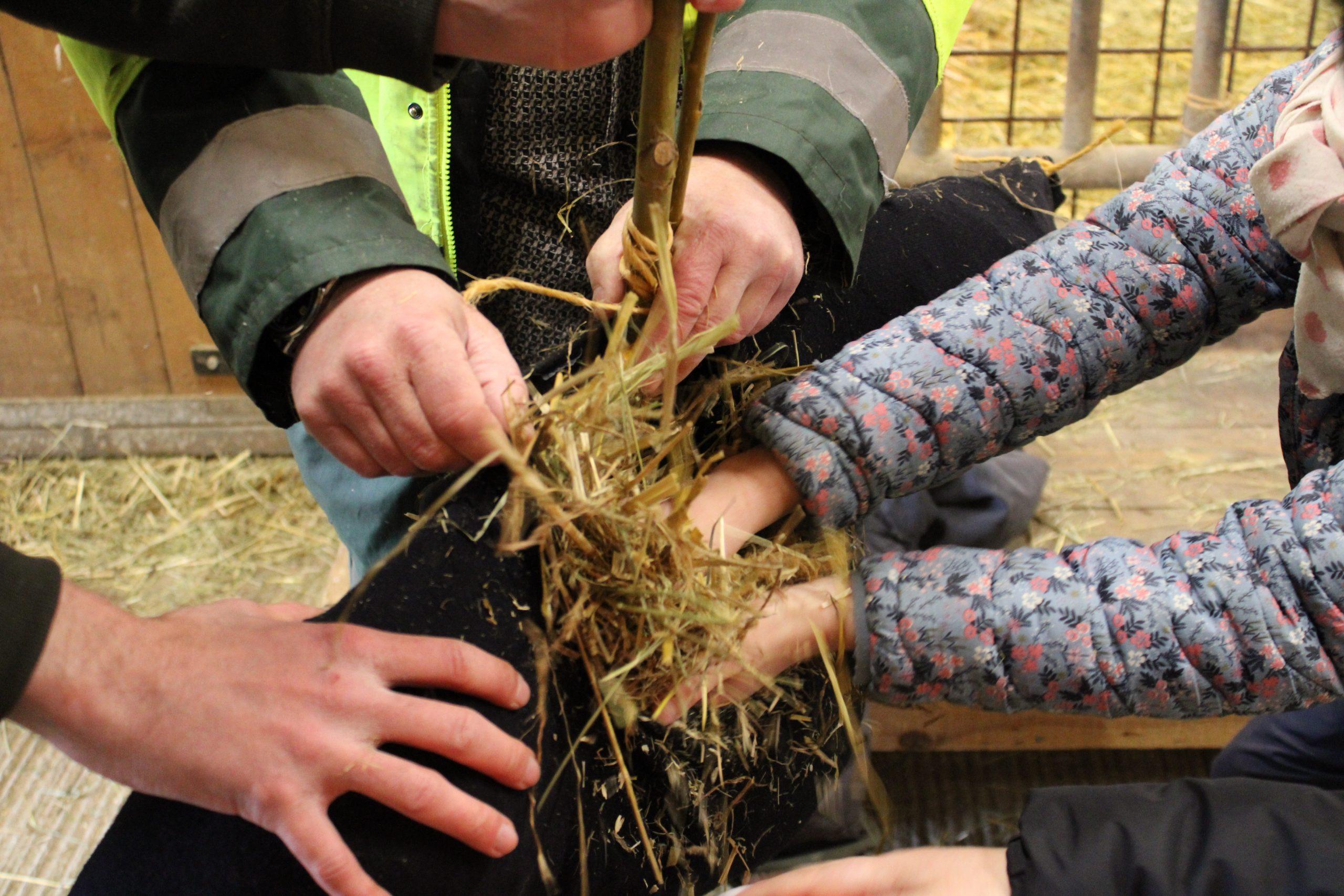 Épouvantail - Ferme d'Argentin