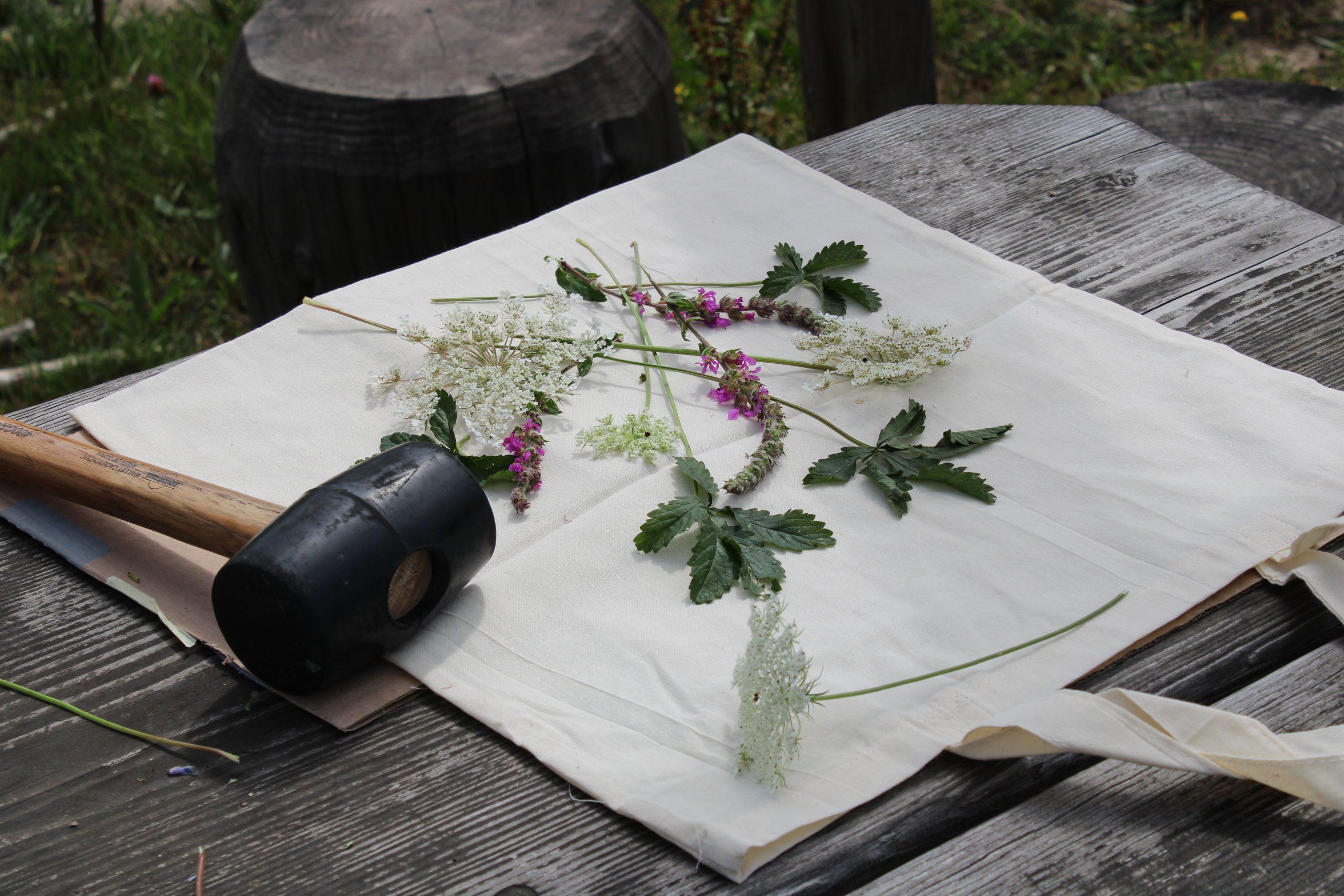 Impression végétale - Ferme d'Argentin