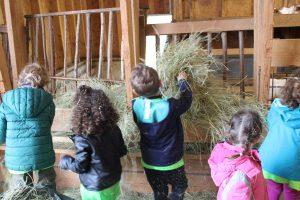 Ferme d'Argentin - A table les animaux !